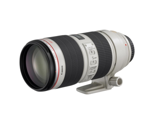 Canon EF 70-200 f2.8L IS Mk II Zoom-image