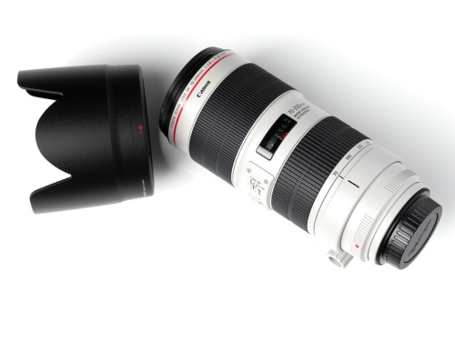 Canon EF 70-200 f2.8L IS Mk III Zoom-image