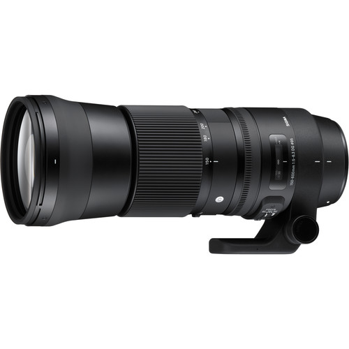 Sigma 150-600mm f5-6.3 (Nikon G Mount) Image